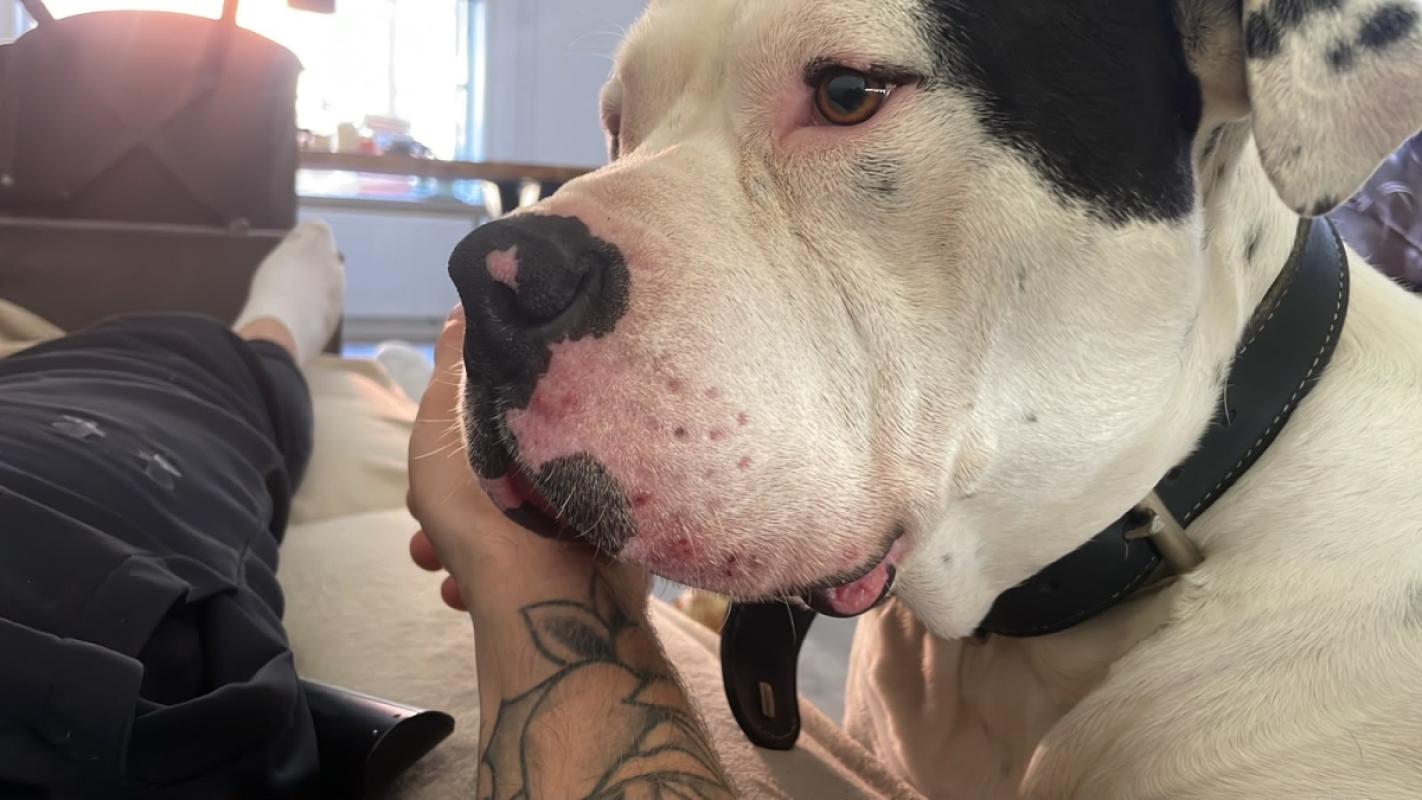 Max