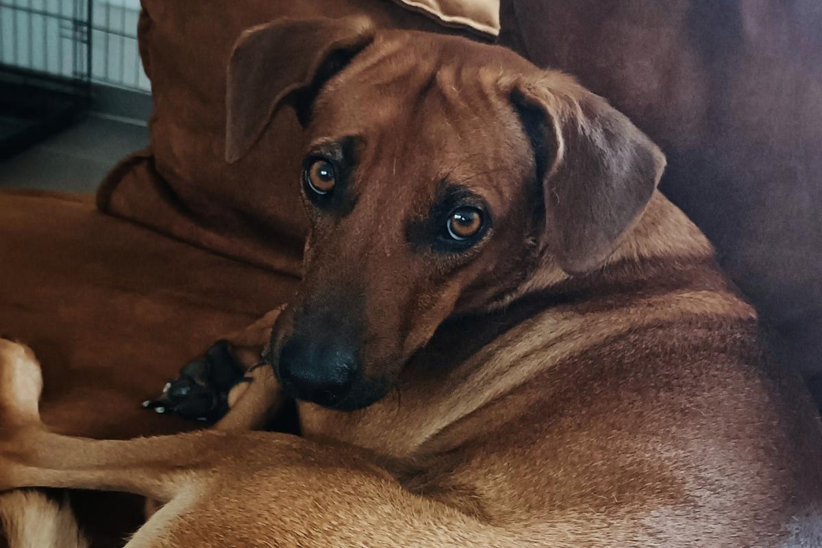 Sam
