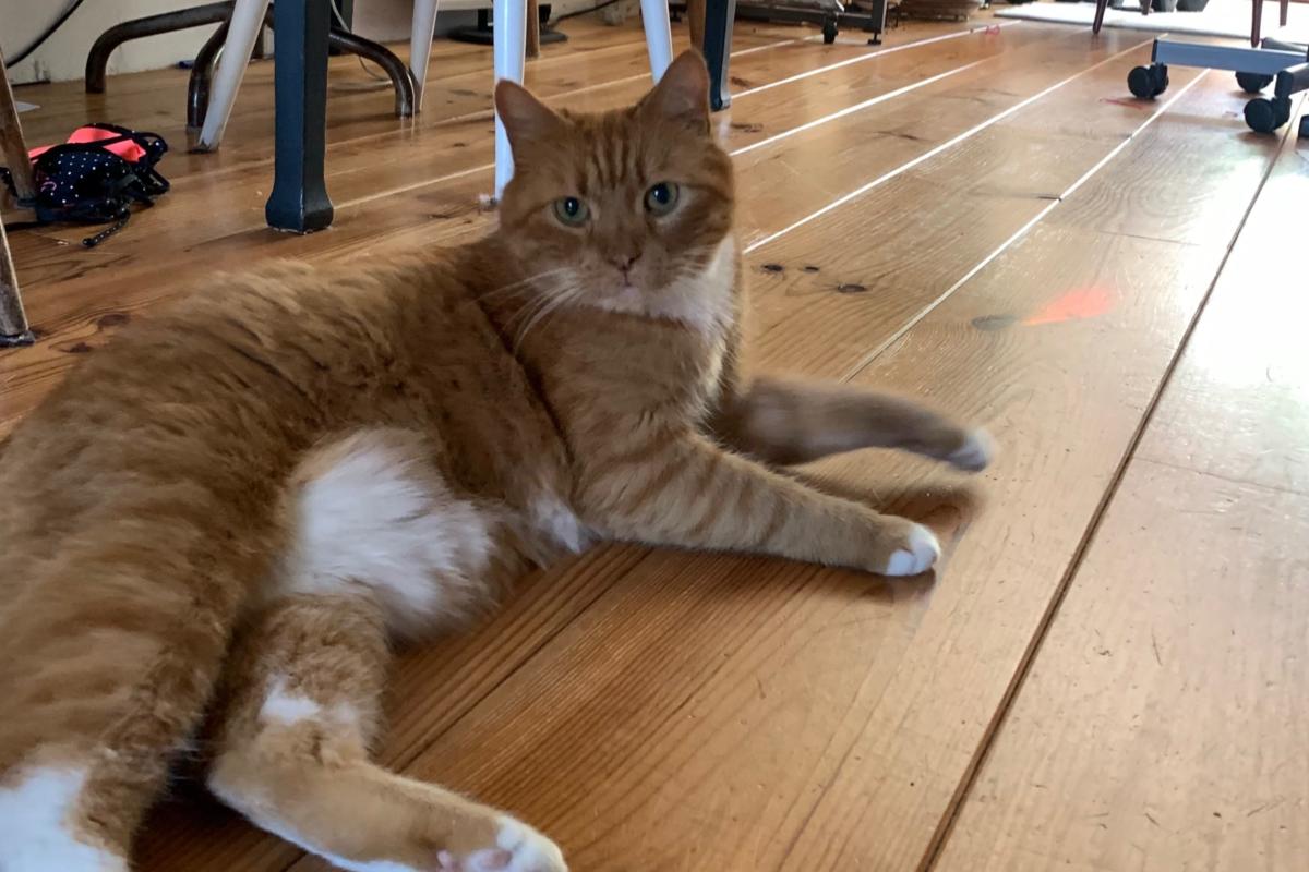 King Fetje