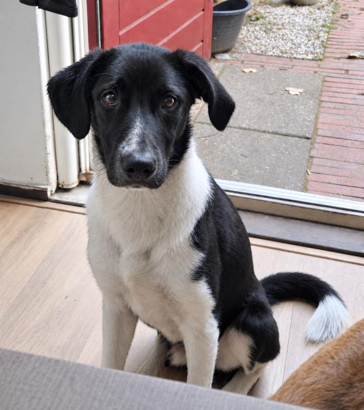 Sam