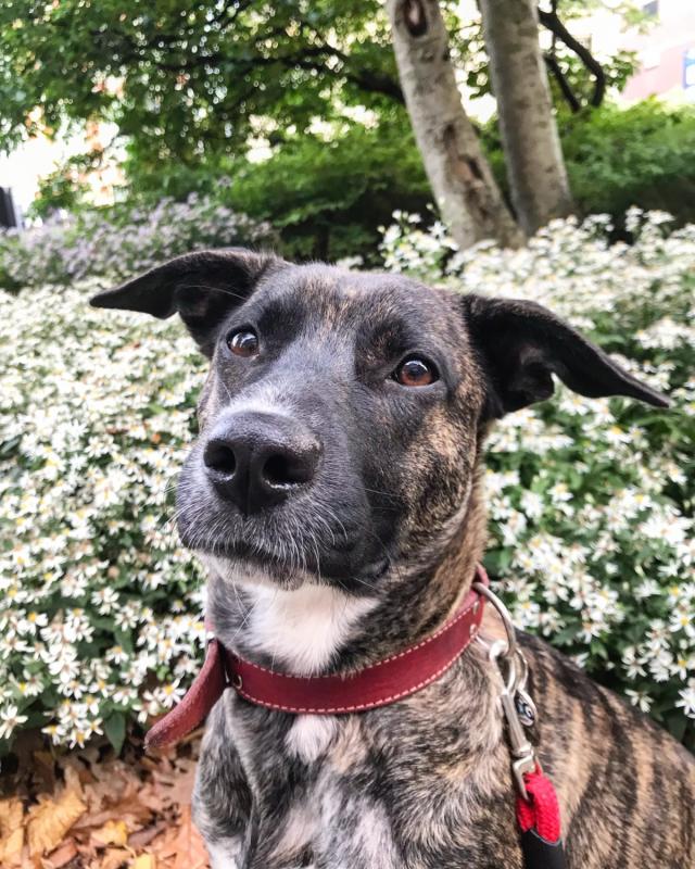 Zoe