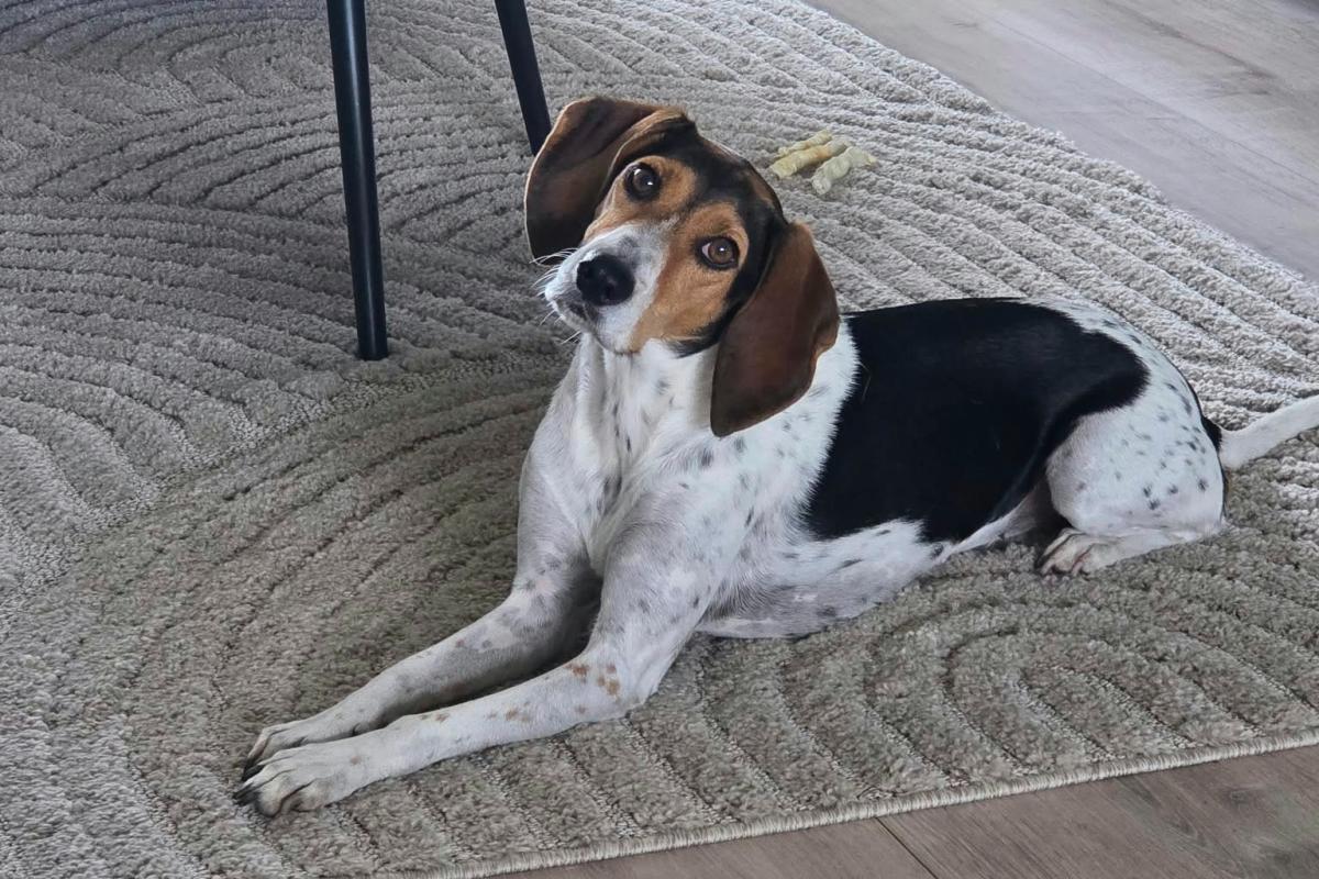 Zoe