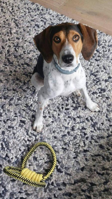 Zoe