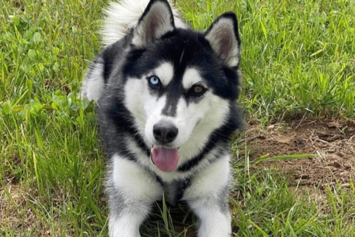Skye