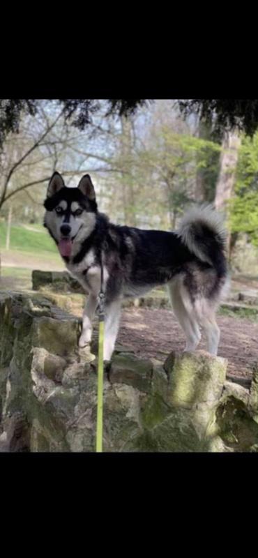 Skye