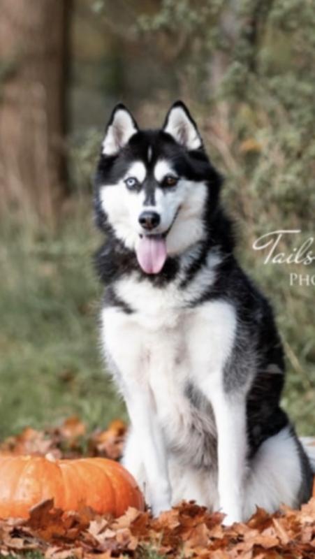 Skye