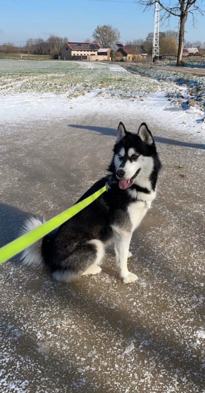 Skye