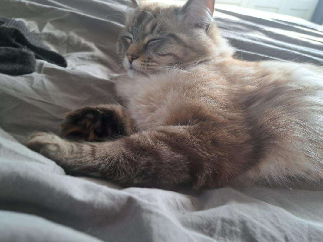 Luna
