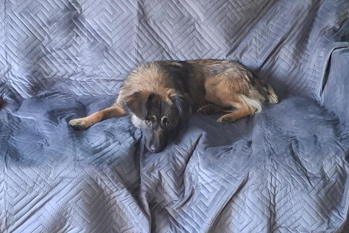 Mila