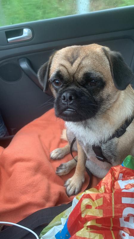 Bertie