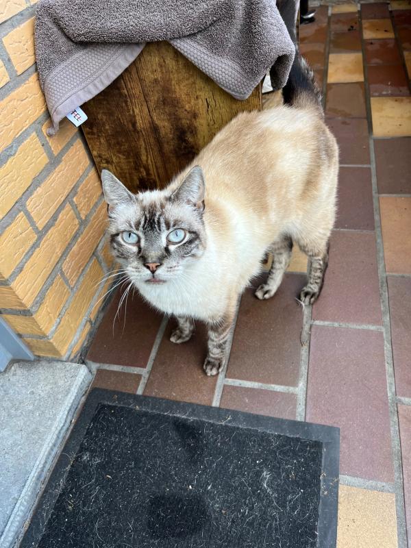 Milow