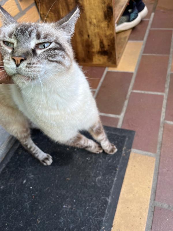 Milow