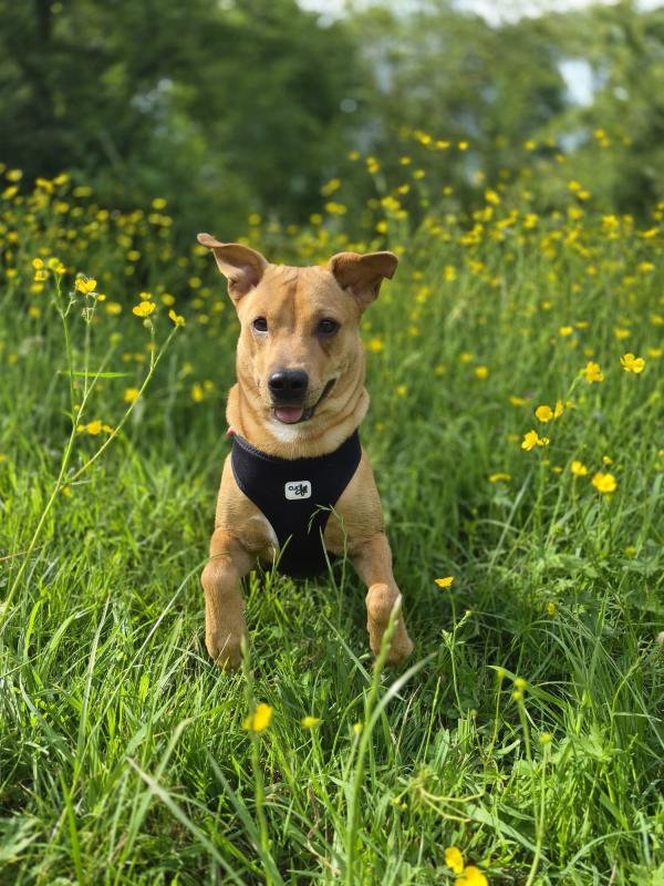 Oona