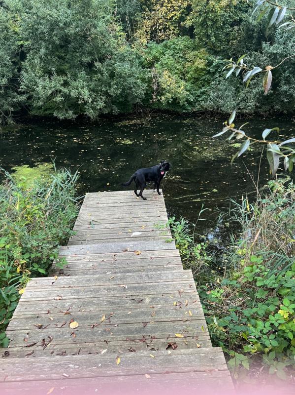 Bella