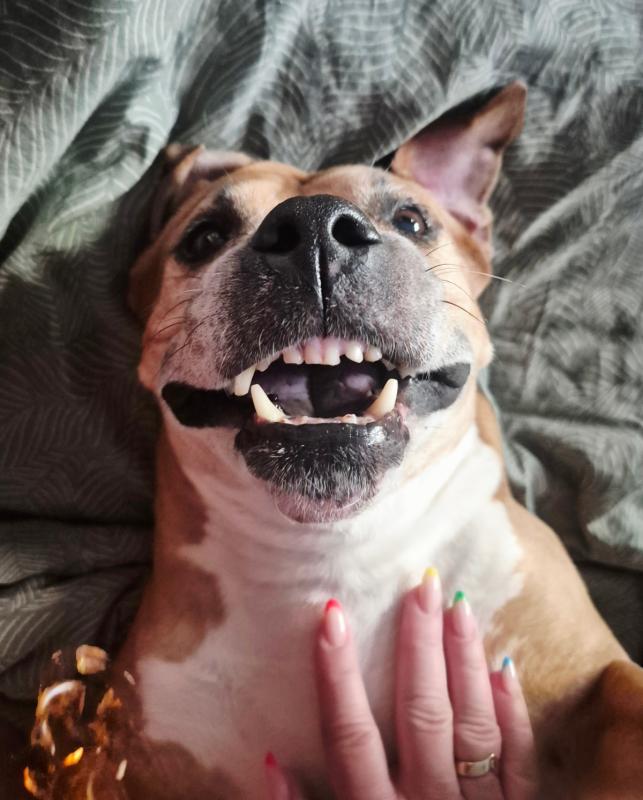 Freya