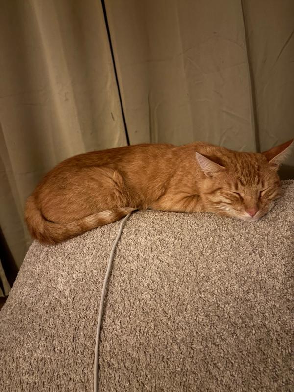 Leo
