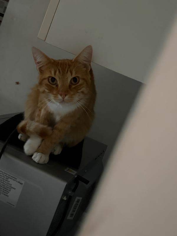 Leo