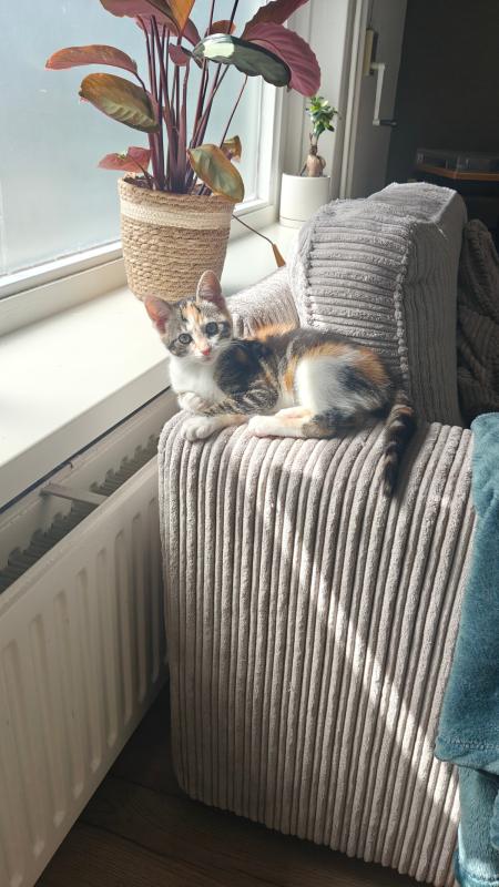 Billie