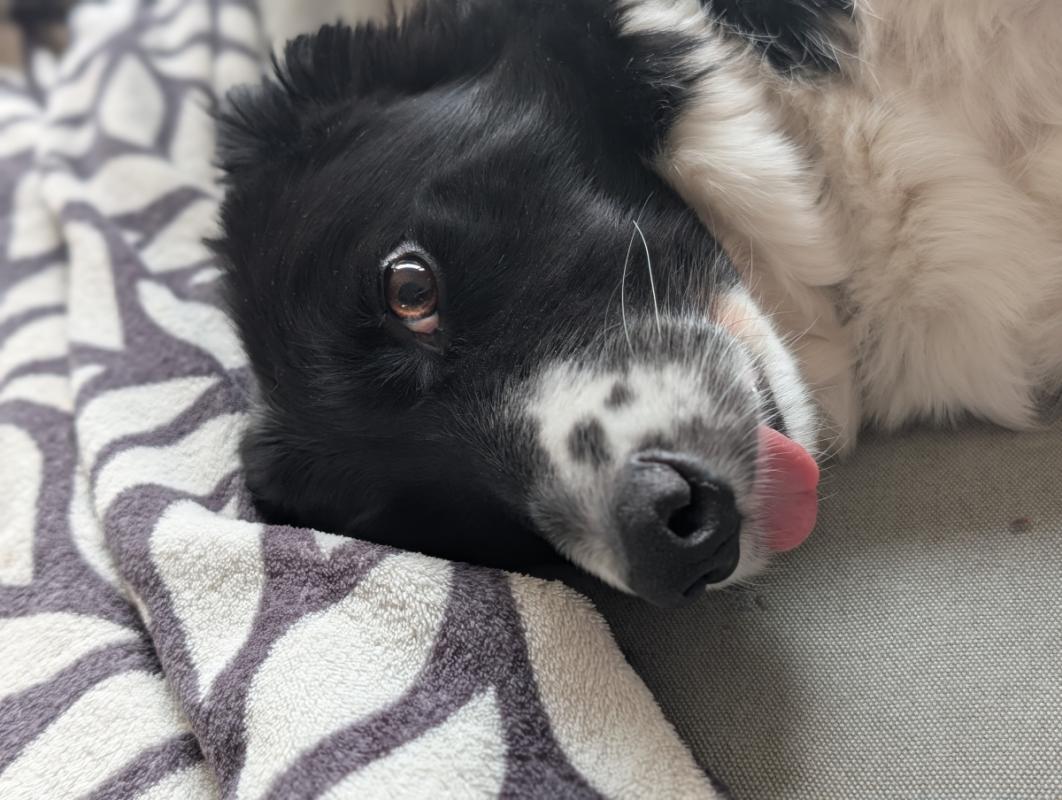 Luna