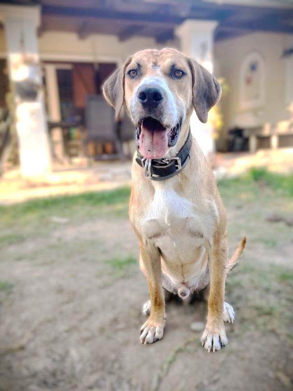 Sammy