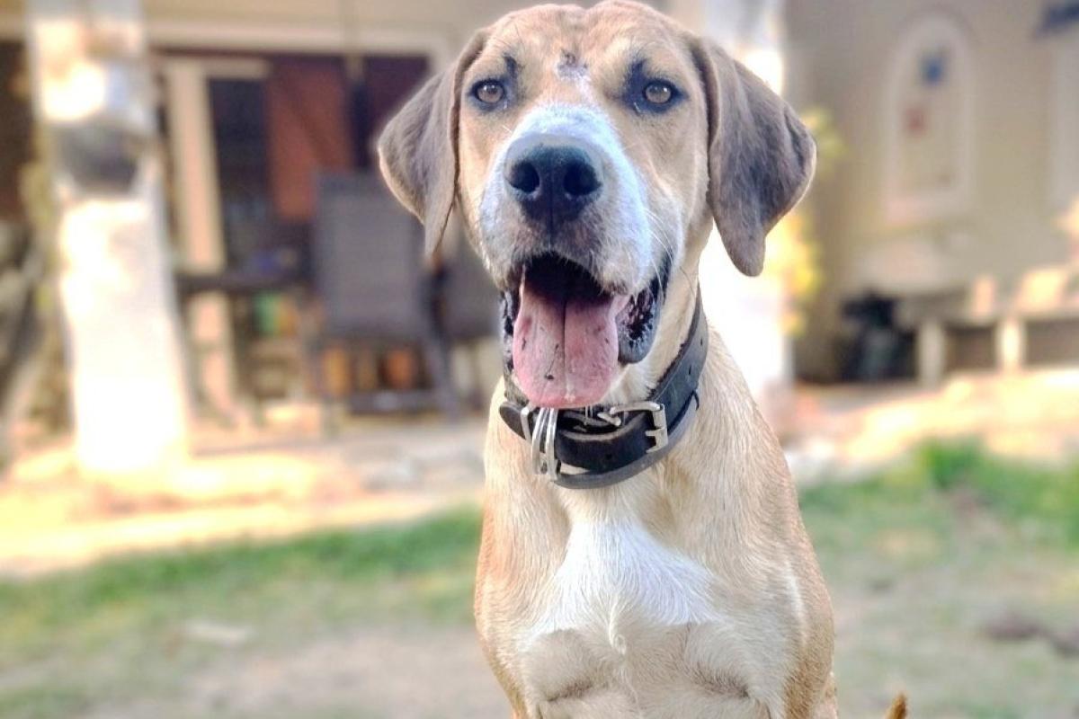 Sammy