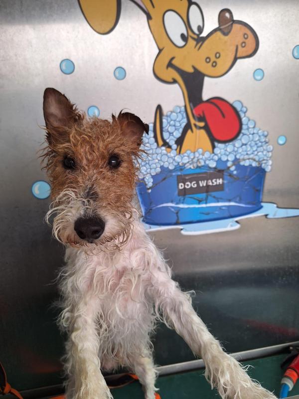 Bobby