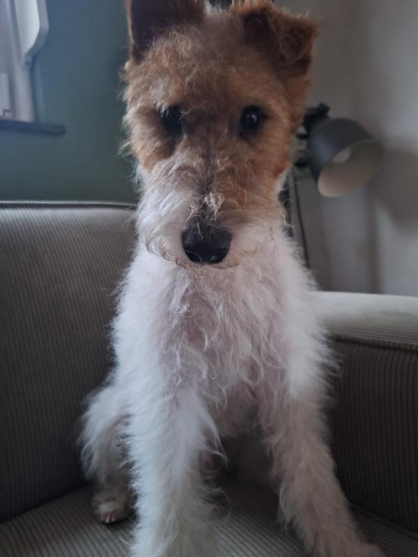 Bobby