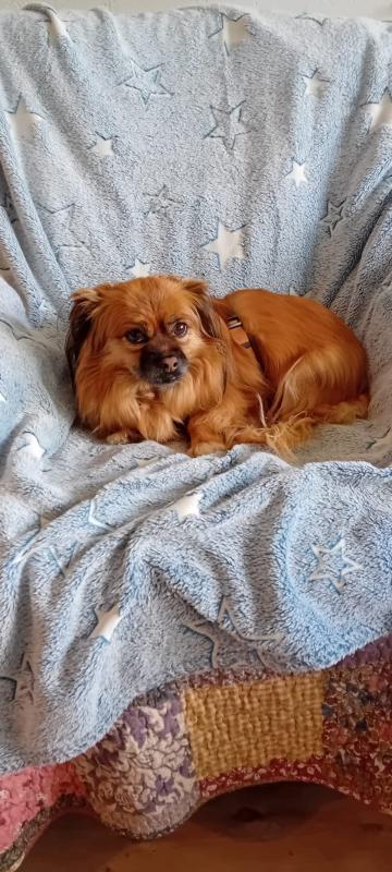 Penny
