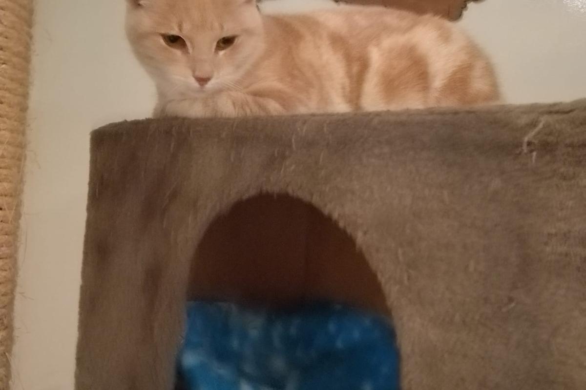 Boris