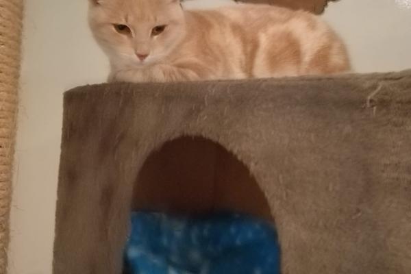 Boris