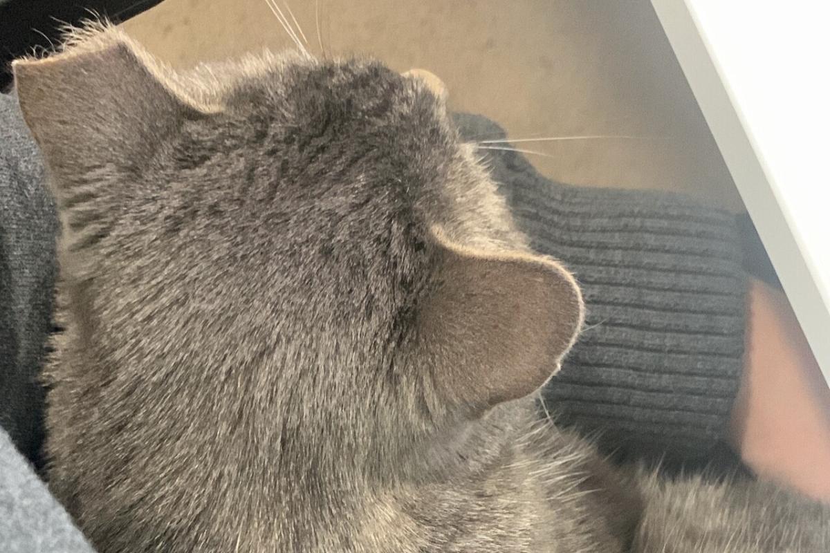 Dusty