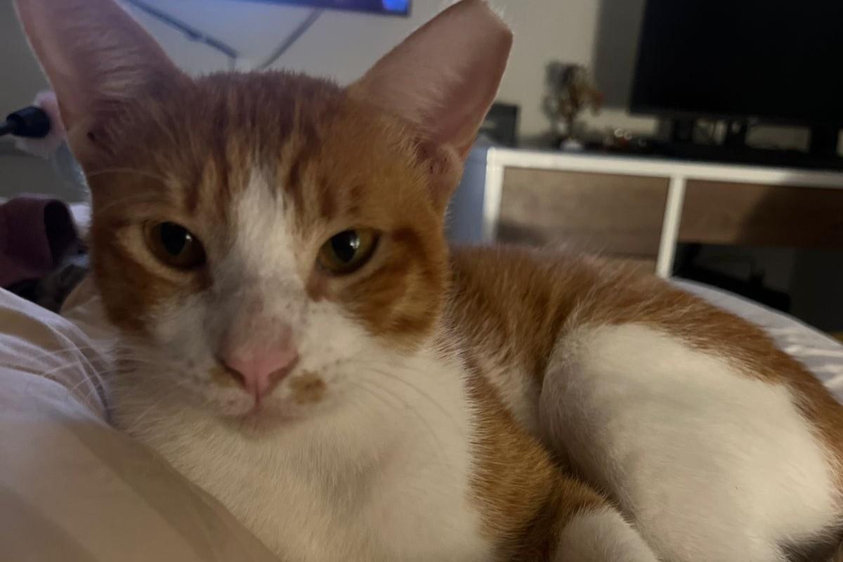 George