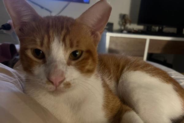 George
