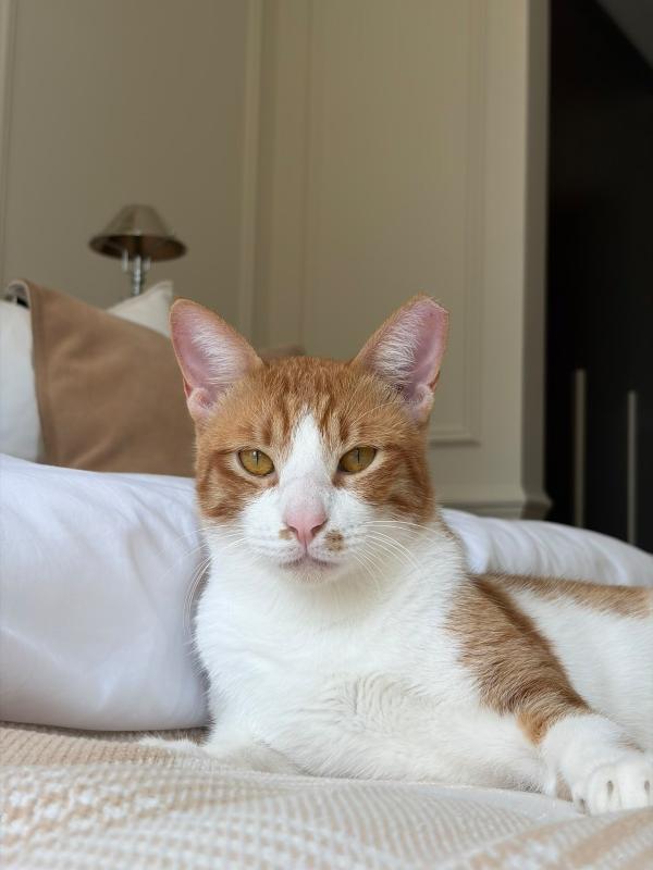 George