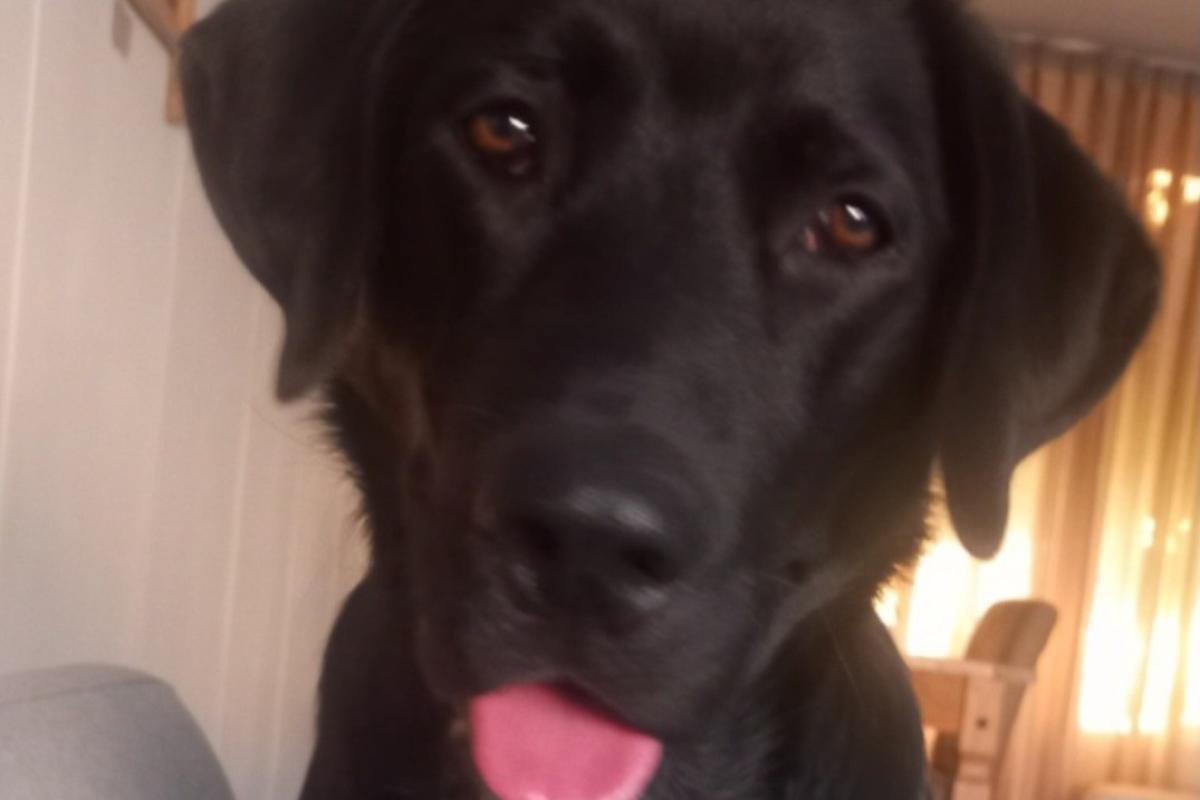 Luna