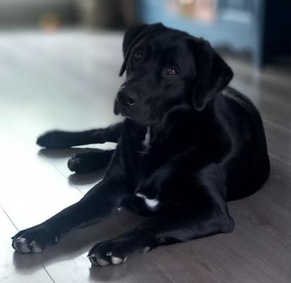 Luna