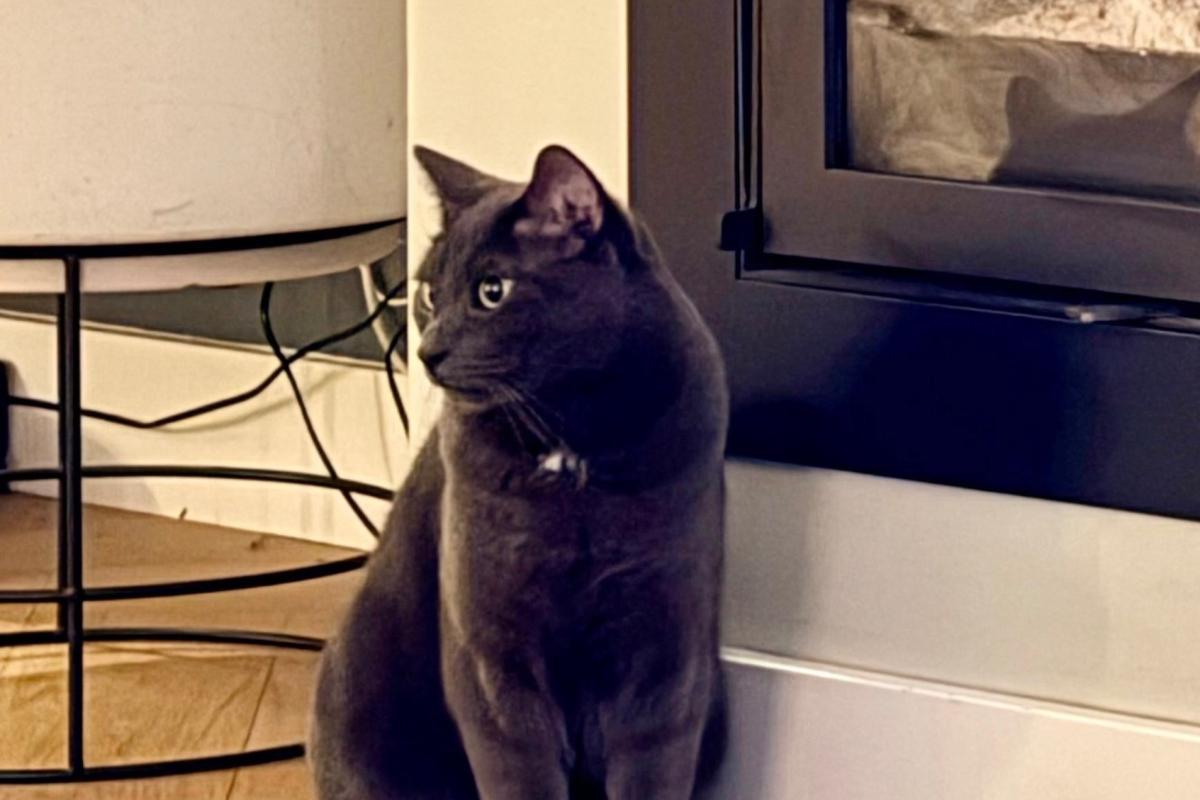 Pablo