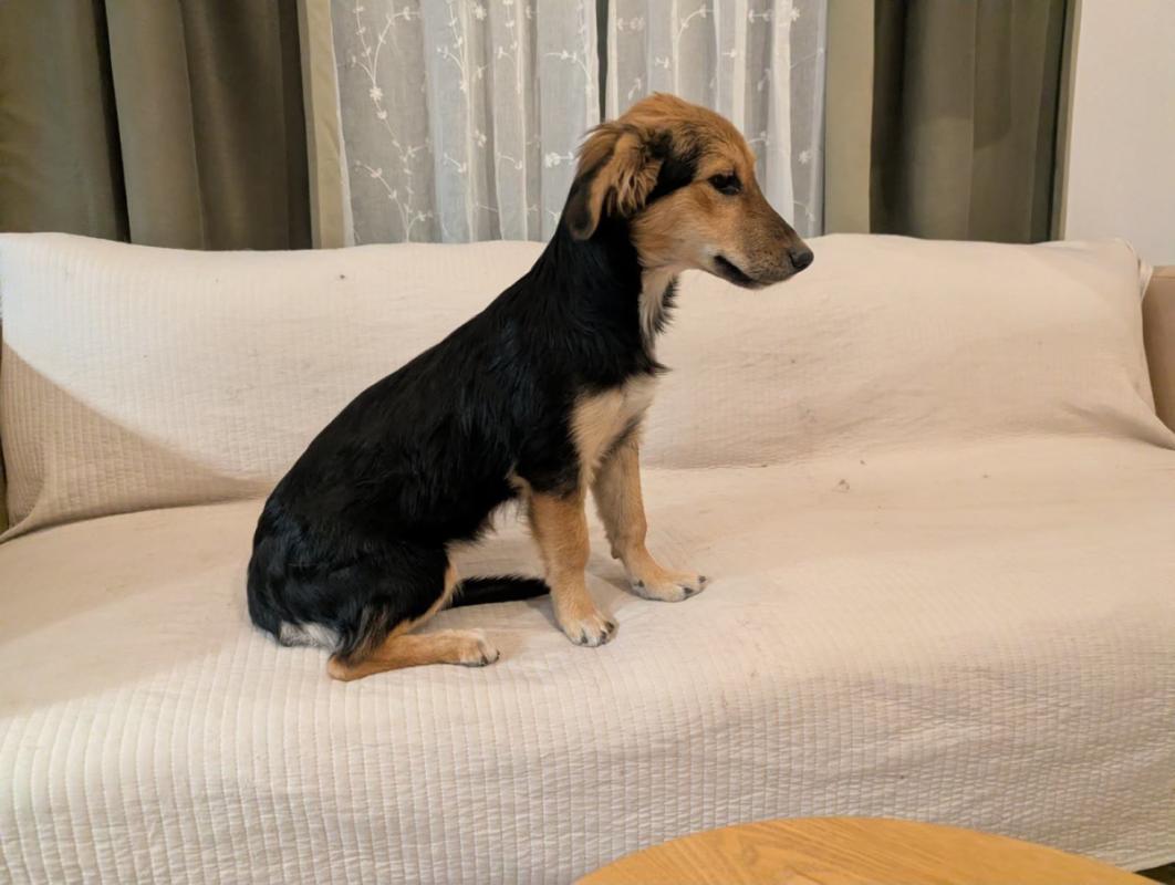 Kiki
