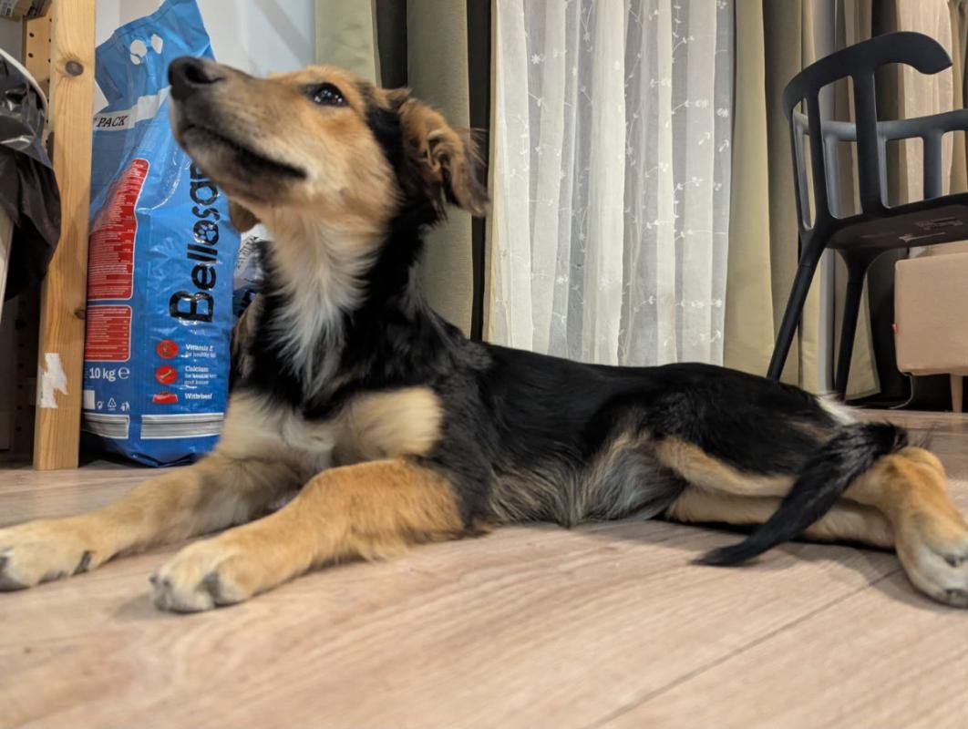 Kiki