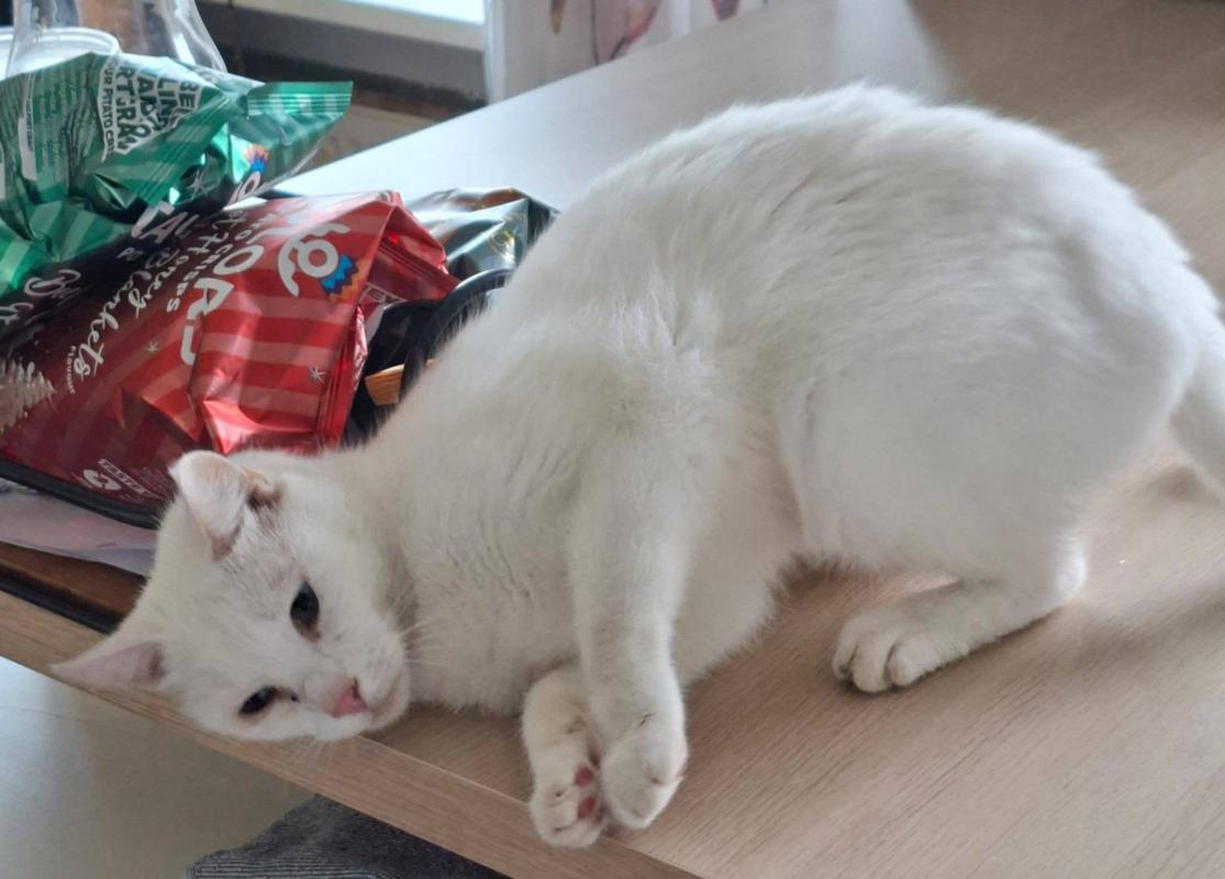 Blanco