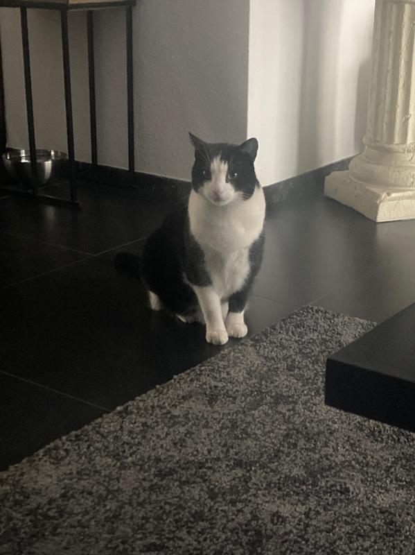 Pepper