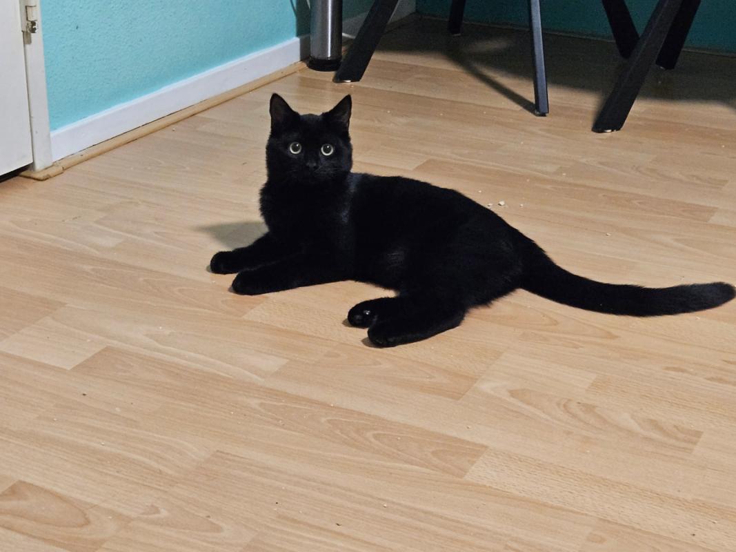 Nori
