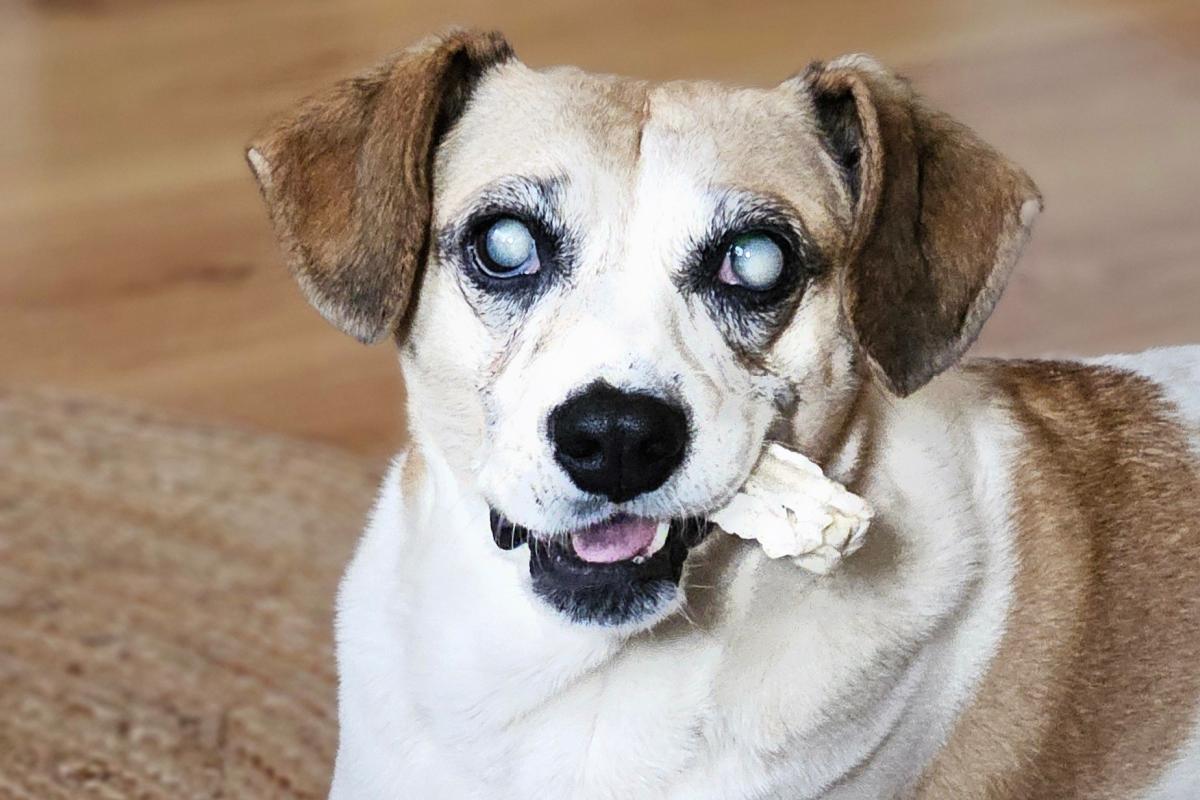 Sammie