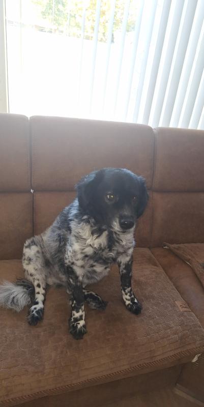 Spike