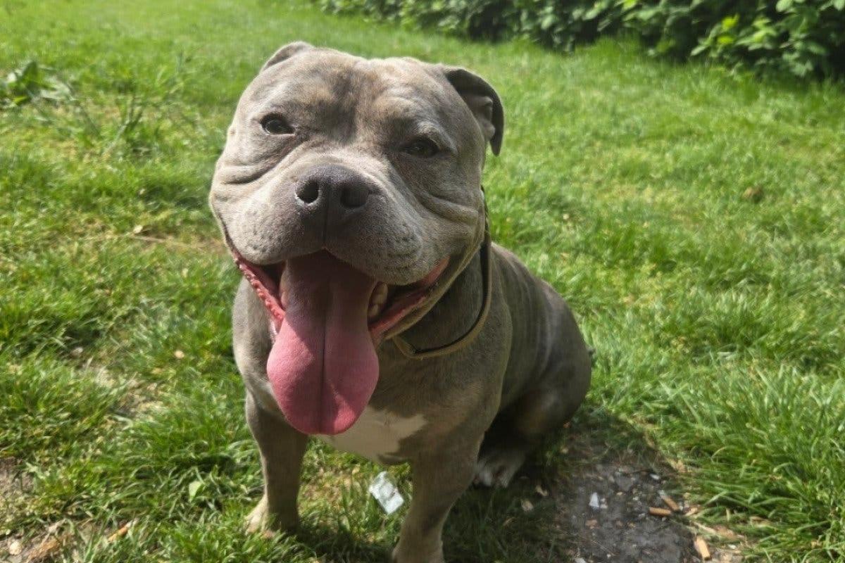 Odin