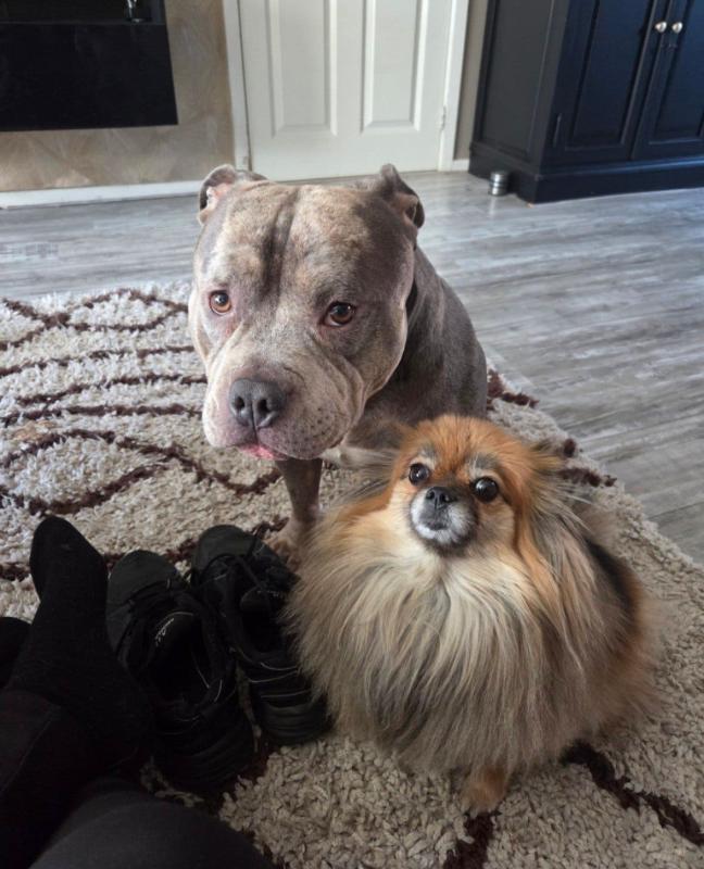Odin
