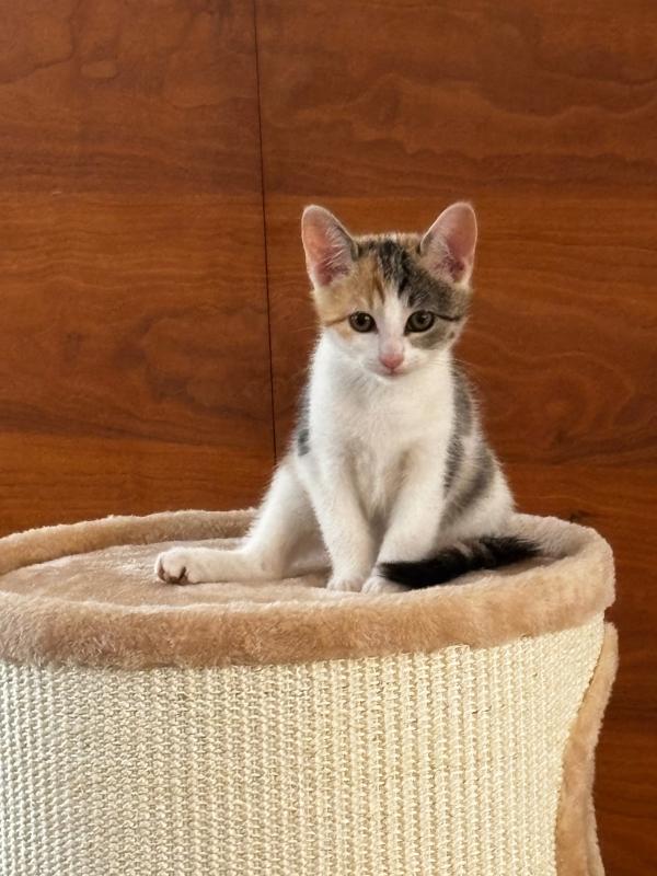 Suzie