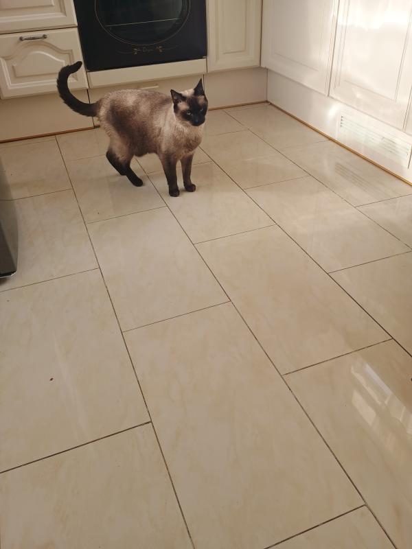 Nelson
