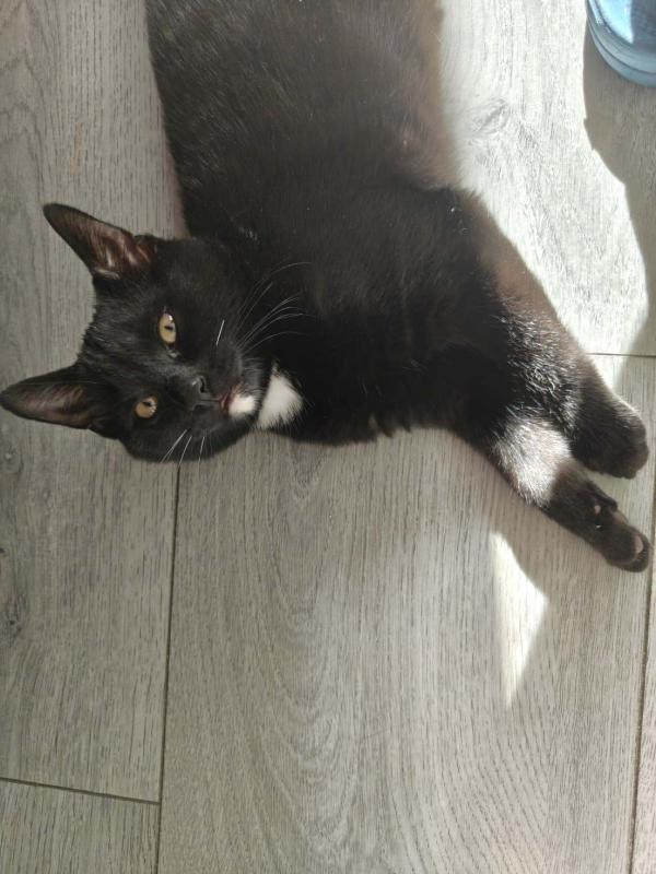 Blacky