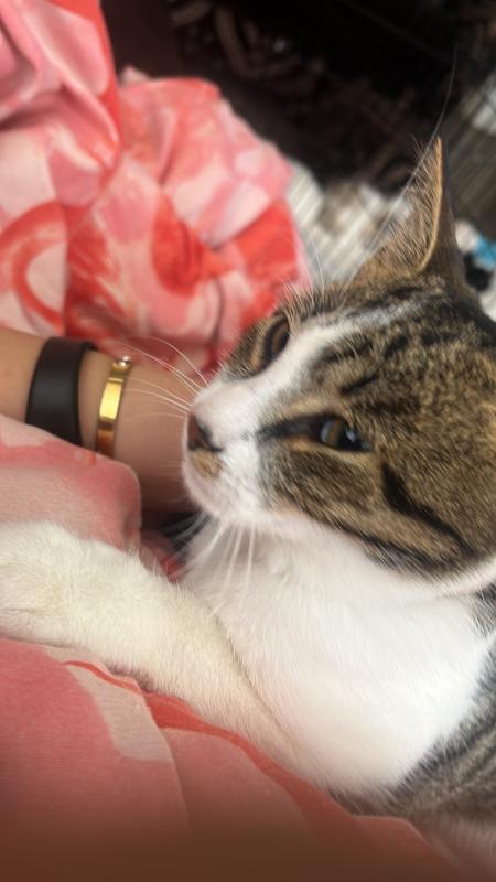 Miep